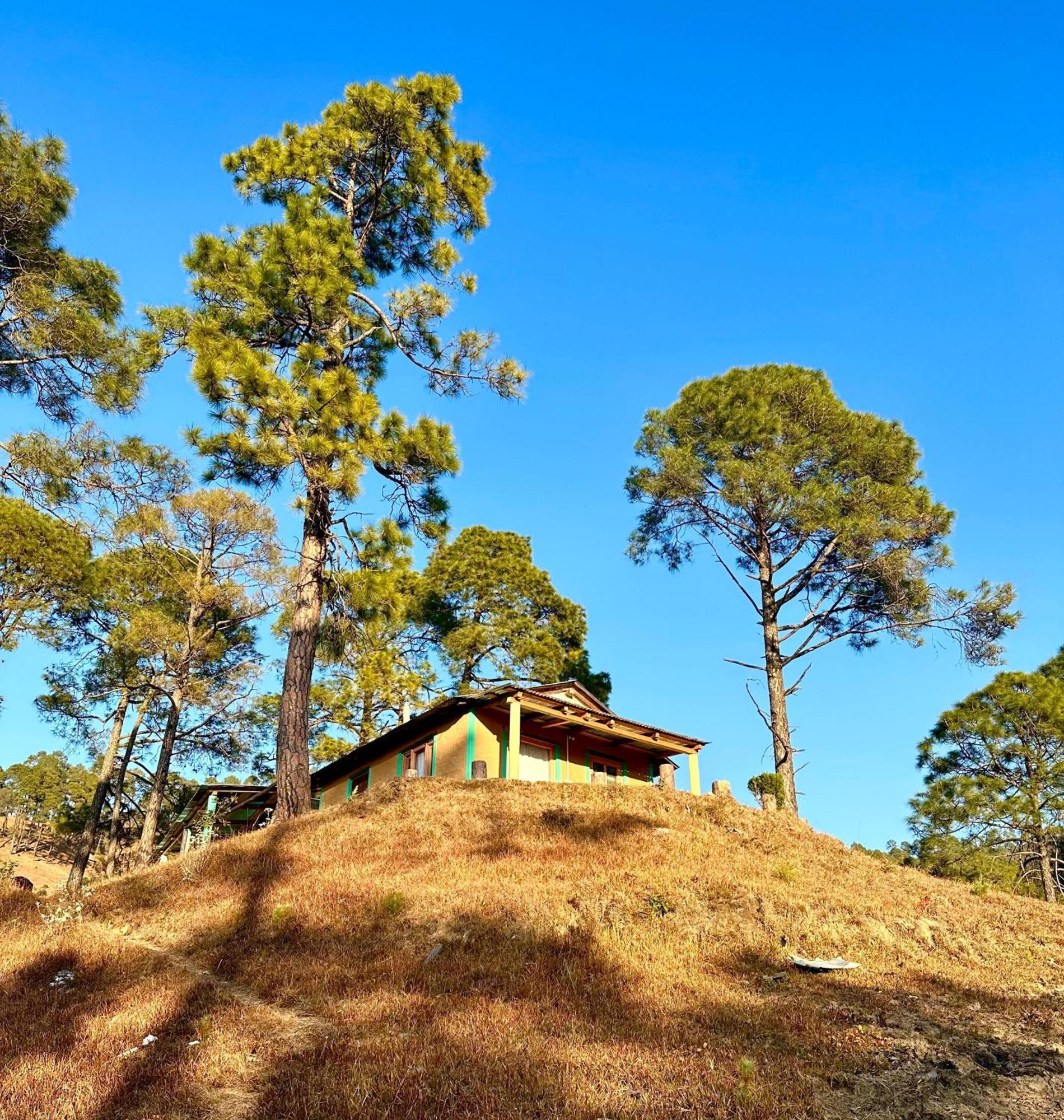 Joshi Cottage Binsar Exterior foto